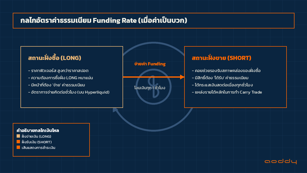 กลไก Funding Rate: ฝั่ง Long จ่ายให้ฝั่ง Short เมื่อ Funding เป็นบวก ภาพอินโฟกราฟิกอธิบายกลไก Funding Rate บน Hyperliquid ที่ฝั่ง Long จ่ายให้ฝั่ง Short ทุกชั่วโมง